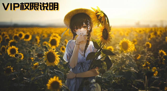 【VIP】VIP权限说明